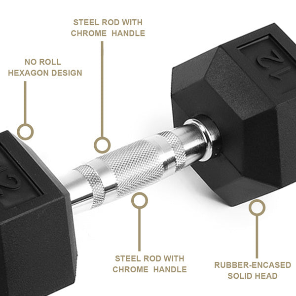 20LB 2 HDRS Rubber Coated Dumbbells